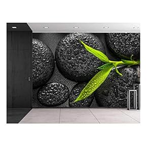 Rain Drops Over Black Rocks and a Little Green Plant - Wall Mural, Removable Sticker, Home Decor - 66x96 inches