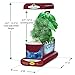AeroGarden Sprout with Gourmet Herb Seed Pod Kit, Red