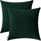 Jeneoo Set of 2 Comfy Accent Soft Velvet Throw Pillow Covers for Sofa Couch, Invisible Zipper Decorative Solid Square Cushion Cases for Livingroom Car (18 x 18 Inches, Army Green)