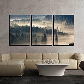 3 Piece Canvas Wall Art - Fir Trees on a Meadow Down The Will to Coniferous Forest in Foggy Mountains - Modern Home Art Stretched and Framed Ready to Hang - 16"x24"x3 Panels