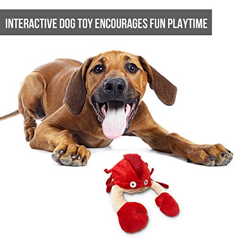 Doggie Pal Hyper Pet Dog Toys Hyper Pet Doggie Tail Interactive