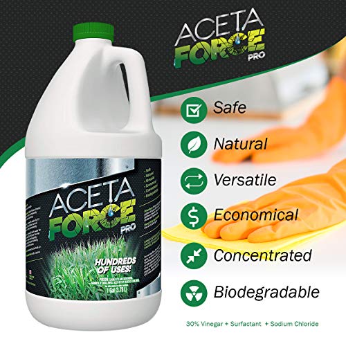 ACETA Force Industrial Strength 30 Natural Acetic Acid Vinegar for