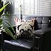 Luxbon Lovely Hug Pug Dog Linen Throw Pillow Cover Sofa Couch Chair Bedroom Decorative Adorable Puppy Pet Dog Animal Decor Cushion Cover 18 x 18/45X45cm