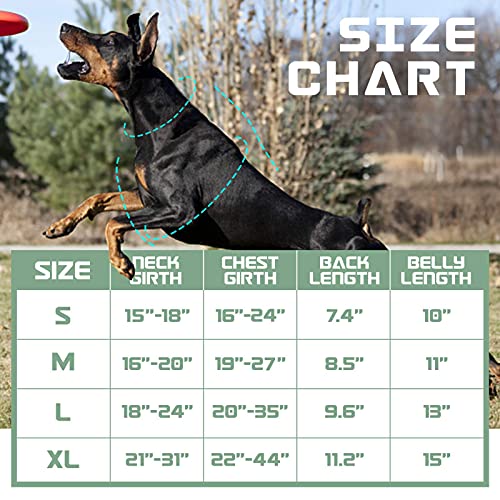 BUMBIN Tactical Dog Harness for Large Medium Small Dogs No Pull, Famous TIK Tok No Pull Dog Harness, Fit Smart… - Image 7