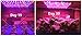 ACKE LED Panel Grow Light, Plant Light PCBA, Hydroponic Grow Light,LED Grow Light Aluminum Board for Greenhouse,Grow Light Stand, Vegetative Growth of Seedling, Flowers, Herbs