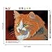DIY 5D Diamond Painting by Number Kit, Brown Cat Crystal Rhinestone Embroidery Cross Stitch Arts Craft Supply Canvas Wall Decor