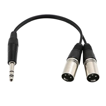 Amazon Com 1 4 Inch To Xlr Audio Y Splitter Converter Cable
