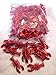 24 (2 DOZEN) CRAWFISH LOBSTER Metallic Red Seafood Boil Party