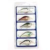 Bravefishermen-Minnow-CrankBaits-Lot-of-5pcs-Fishing-Lures-Nature-Color-Tone