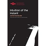 Intuition of the Instant (Studies in Phenomenology and Existential Philosophy)