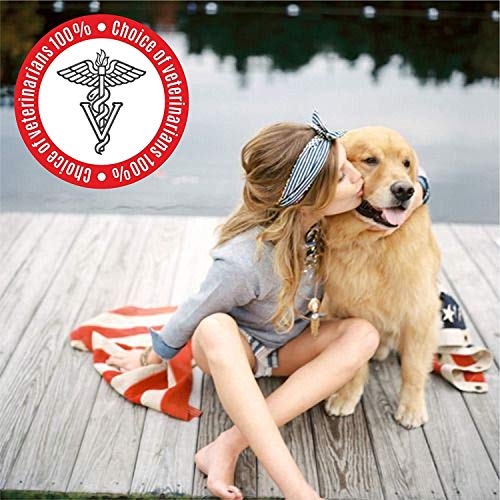AF Dog Flea and Tick Control Collar- 8 Months Flea and Tick Control for Dogs - Natural, Herbal, Non-Toxic Dog Flea Treatment - Waterproof Protection and Adjustable Best Flea Collar for Dogs
