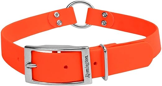dog collars orange