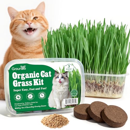 Groundio Cat Grass Growing Kit