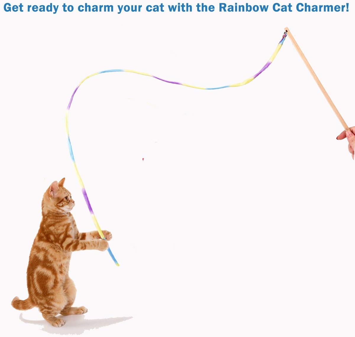 Interactive Cat Toys Rainbow Cat String Toy with Bell, Replaceable Wood Cat Wand with 5PCS Colorful Fabric Ribbon Refills, Safe Cat Catcher Teaser Stick Toy for Kittens Training Pets Exerciser : Pet Supplies