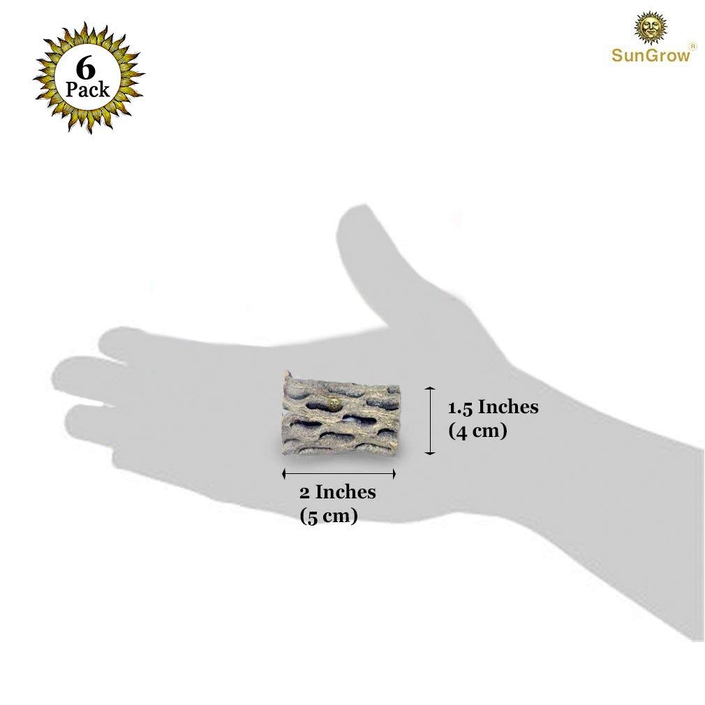 6-pcs Natural Cholla wood for Hamsters by SunGrow - 100% Organic soft wood, Non-Toxic, Pesticide-Free, Thorn-free - Chew toy for ferrets, guinea pigs, gerbils, mice, chinchillas - Perfect for climbing