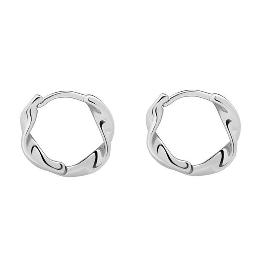 HAISWET Sleeper Earrings 925 Sterling Silver Twist Hinged Hoop Earrings