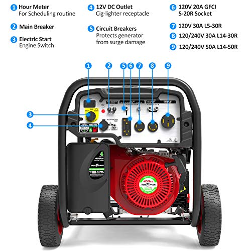 ROCKPALS 12,000-Watt Dual Fuel Portable Generator with Electric Start