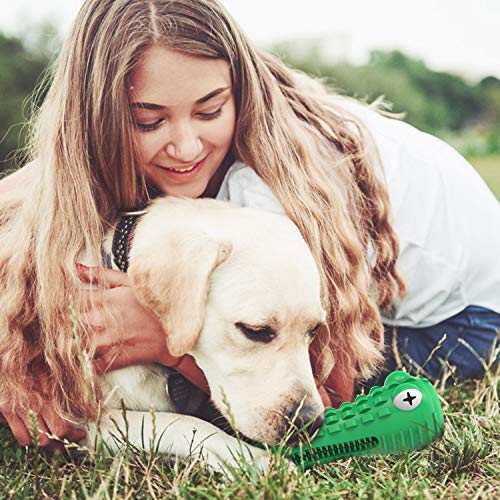 dog toothbrush instagram