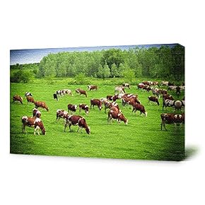 SIGNFORD Canvas Wall Art for Living Room,Bedroom Home...