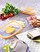 Snips 000140 Airtight Sliced Cheese Storage Saver, 11