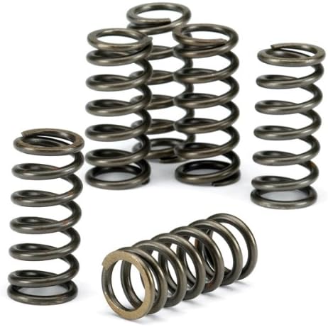 EBC CSK078 CLUTCH SPRING SET new