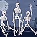 3PCs Halloween Skeleton 16 inch with Movable Joints for Halloween Party Favors，Halloween Decorations