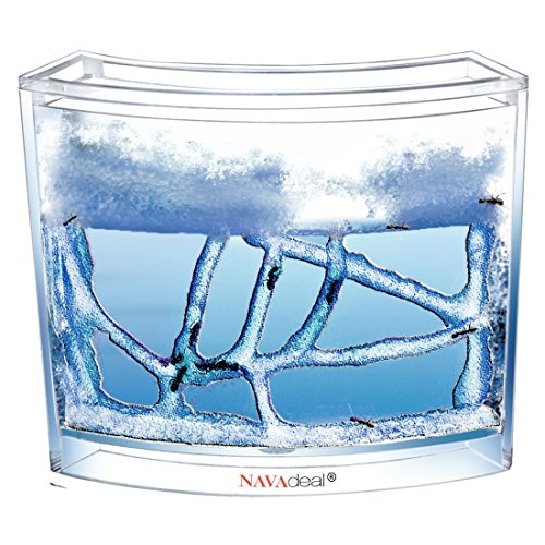 NAVAdeal Ant Farm Habitat for Kids - Educational & Learning Science Kit with 3D Eatable Blue Gel, Enjoy Studying Behavior of Ants Ecosystem, Great Christmas Gift Idea (Live Ants Not Included)