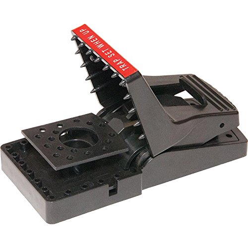 Jawz Rat Traps - Pack of 6