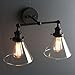 Phansthy 2-Light Industrial Wall Light Antique Black Sconce Wall Light Fixture with 7.3 Inches Cone Clear Glass Lampshade 180 Degree Adjustable (2-Light Clear)