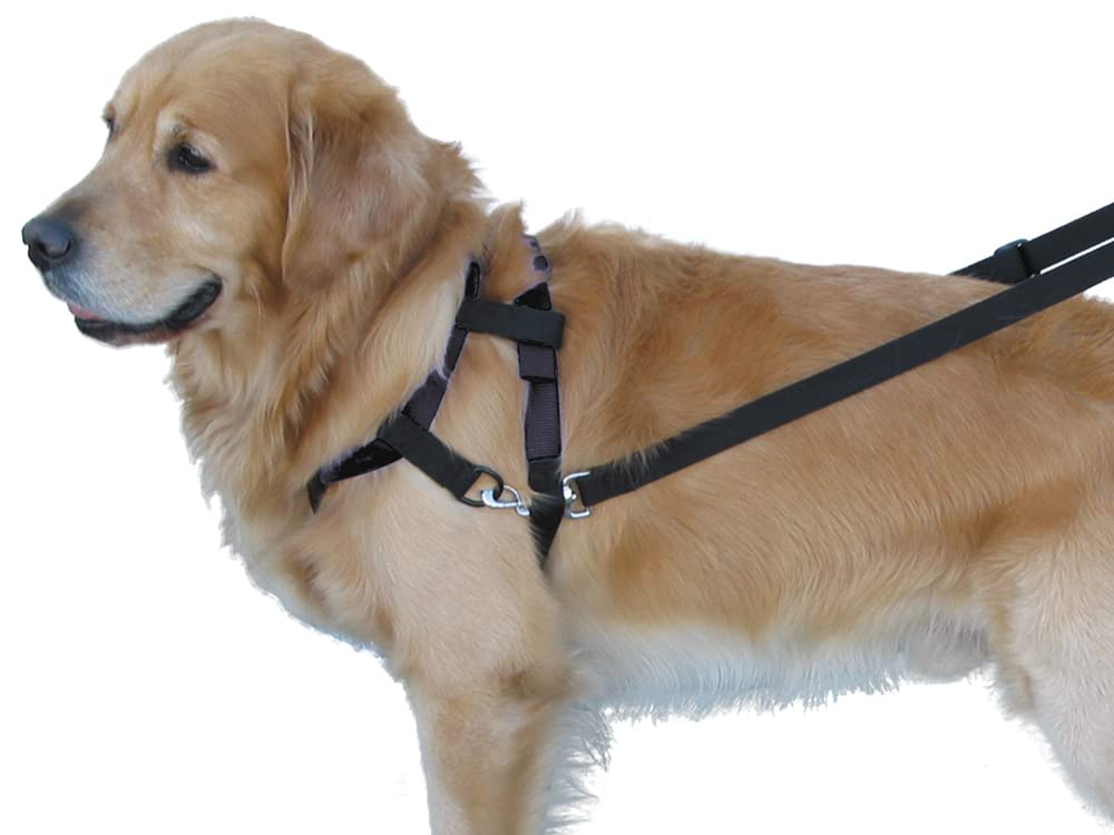 Nobby Top Walk Harness for Dog, 46 cm, Black