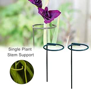 Seasaleshop1 - Tutores para Plantas, Soportes y Varilla de Apoyo ...