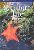 Seashore Life on Rocky Coasts, Connor, Judith, 1878244051