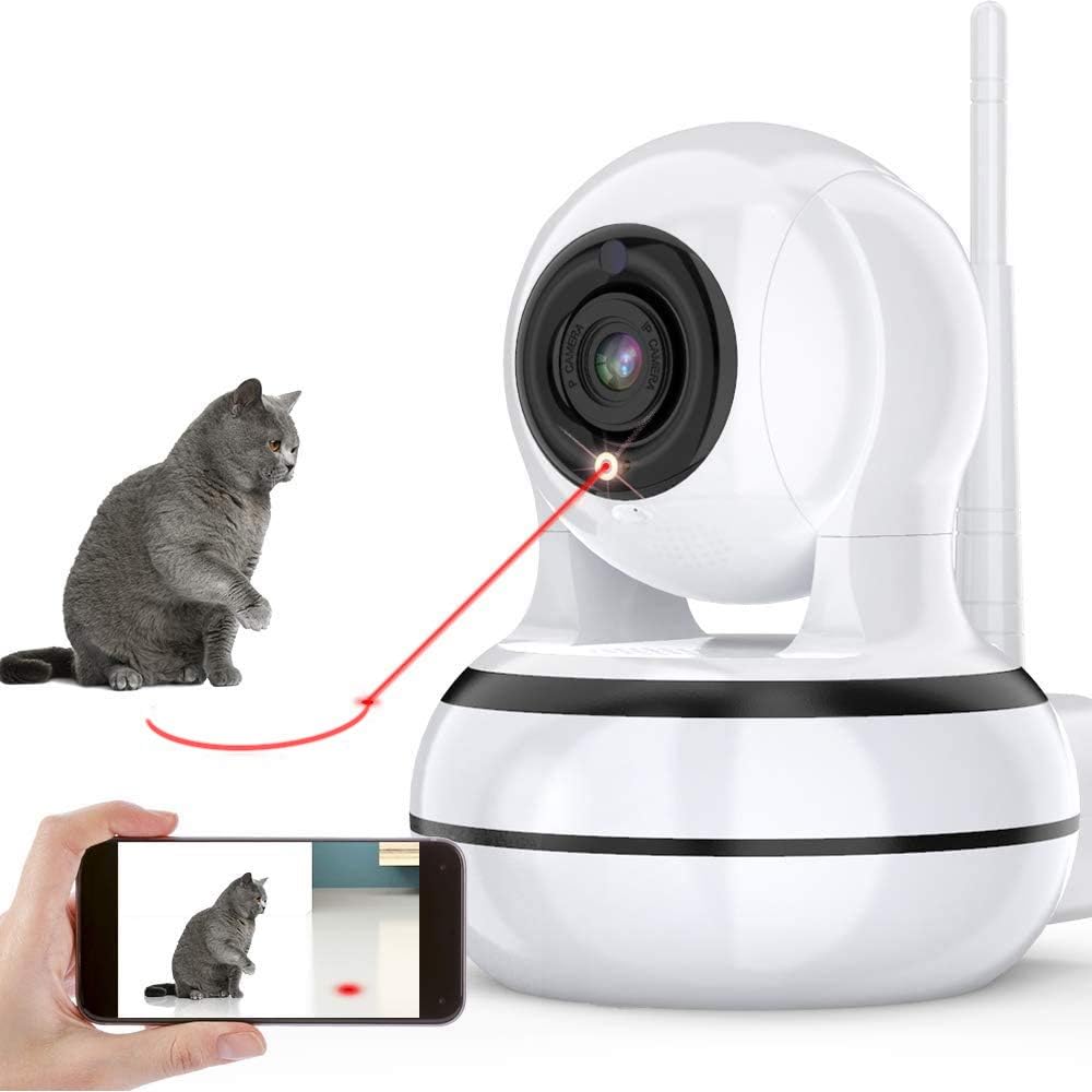 home pet camera