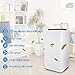 Eurgeen Touch Screen Dehumidifier 4 Gallons (30 Pints) Working Capacity/Every Day, 2nd Generation, with 2L Water Tank, Perfect for Home, Bedroom, Office, Living Room, Bathroom Up to 150-400 Sq Ft