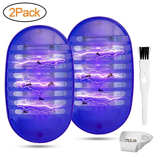 Top 10 Bug Zapper For Gnats of 2019 No Place Called Home