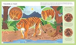 Tiger (Young Zoologist): A First Field Guide to the