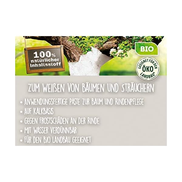 Naturen Bio Weißanstrich, Baumanstrich zum Weißen von Bäume gegen Frostschäden an Obst und Ziergehölzen, 1 Liter – Bild 3