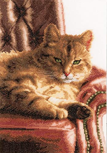 Lanarte PN-0021762 Relaxed Tabby, Pack of 1