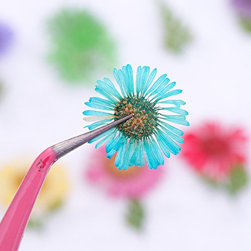 2Box 3D Nail Art Dried Flower Mixed Preserved Daisy Babysbreath Natural Sticker DIY Manicure Nail Art Decorations - Thumbnail 3