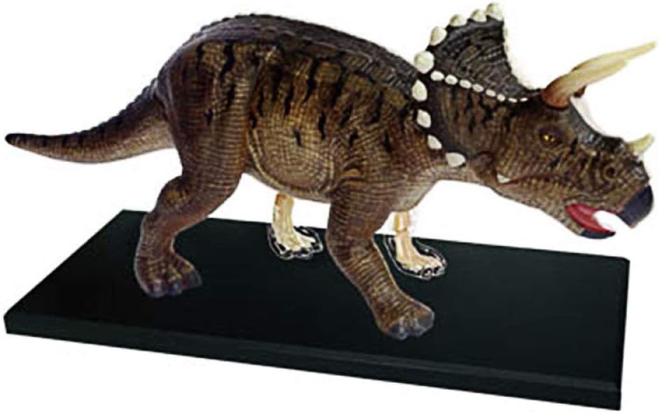 dinosaur anatomy toy