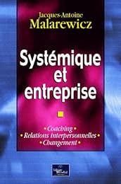 Systémique et entreprise