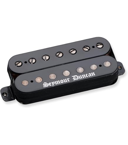 Amazon.com: Seymour Duncan Black Winter 7-string Neck Humbucker