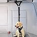 iBuddy Dog Seat Belt Car Headrest Restraint for Medium/Large Dogs, Adjustable Dog Seat Belt Harness for Car with Dual Safe Hook and Elastic Durable Nylon Dog Safety Belt for Vehicle