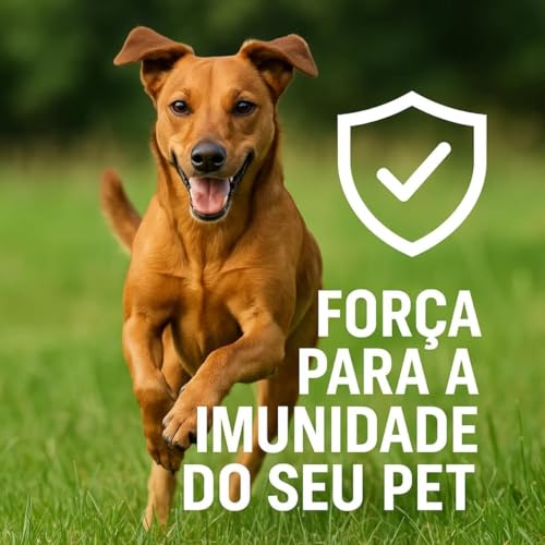 Kit 3 Suplementos Cães Prom Defesa Boost para Cães 3ml Probiótico Omega 3 Suporte Nutricional Casa Buritis