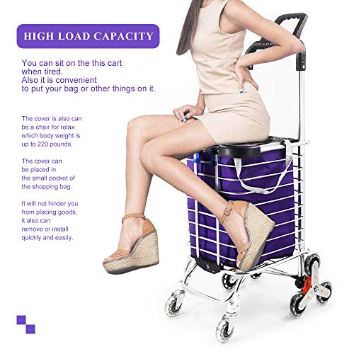 Besthls Folding Shopping Cart for Groceries, Stair Climbing Grocery Carts with Cover (Can Sit), Heavy Duty Transit Utility Cart with Rolling Swivel Wheels and Length Handle, 177 Pounds Capacity