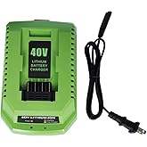 Replacement for GreenWorks 40V Battery Charger, Compatible with Greenworks 40V Lithium Ion Battery 29482, 29462, 29472, 2901319, 2938302, BAF702, L-300, BAF704, BAF705 Power Tools