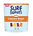 Surf Sweets Gummy Bears, Made with Organic Cane Sugar and Organic Fruit Juice, Gluten Free, Nut-Free, Vegetarian and No Artificial Colors or Flavors, 6 oz (Pack of 6)