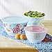 The Pioneer Woman 6 Piece Set Flea Market Floral Melamine Serving Bowls with Lids