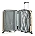 Travelcross Columbia Luggage 3 Piece Lightweight Spinner Set (Champagne)