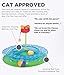 Catstages Cheese Chase Interactive Cat Track Toy with Balls and Catnip Toy, Multicolored